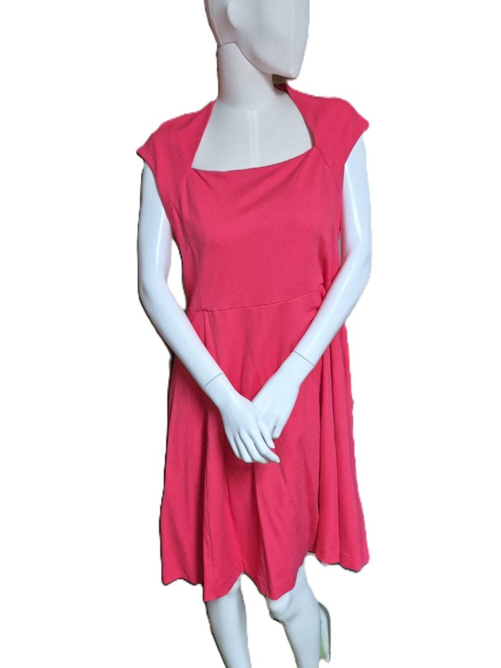 NWOT Lark & Ro Dress